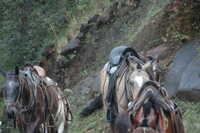 2007-12-10 16.34.52.JPG 